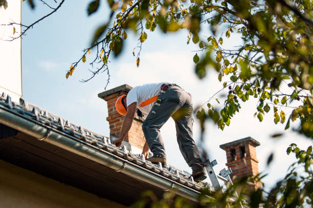 Best Roof Leak Repair  in Mcmechen, WV