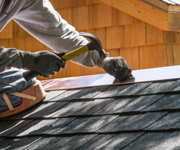 Best Roof Gutter Cleaning  in Mcmechen, WV